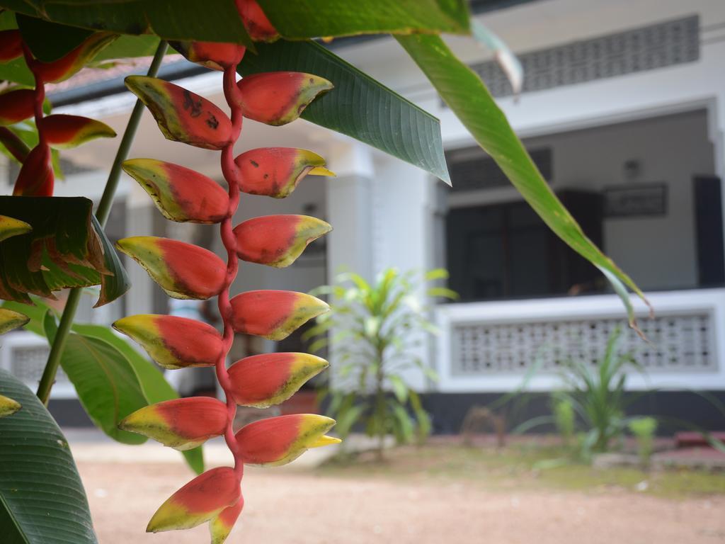 Galle Star Hotel Esterno foto
